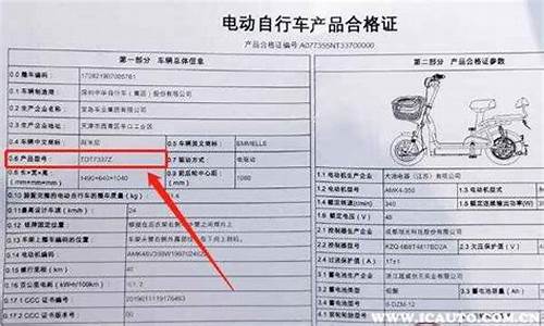 电动车车辆型号查询_电动车车辆型号查询