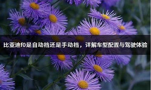 比亚迪f0手动挡还是自动挡省油_比亚迪f0手动挡还是自动挡