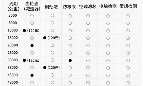 新能源汽车保养手册电子版_新能源汽车保养手册