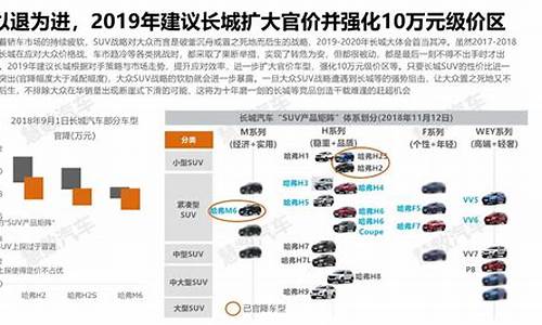 长城汽车定价策略分析_长城汽车价格策略分析